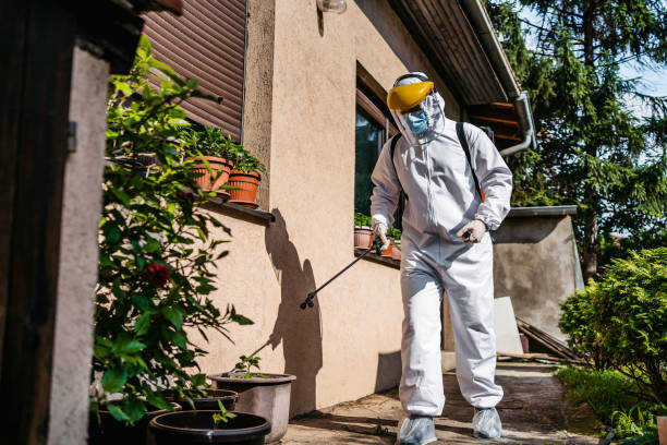 Best Pest Control for Homes  in East Niles, CA