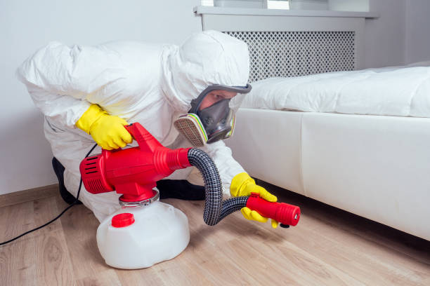 Best Flea Control Services  in East Niles, CA