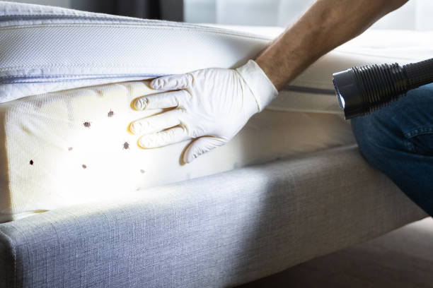 Best Pest Prevention Services  in East Niles, CA