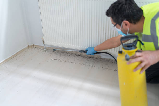 Best Ant Control Services  in East Niles, CA